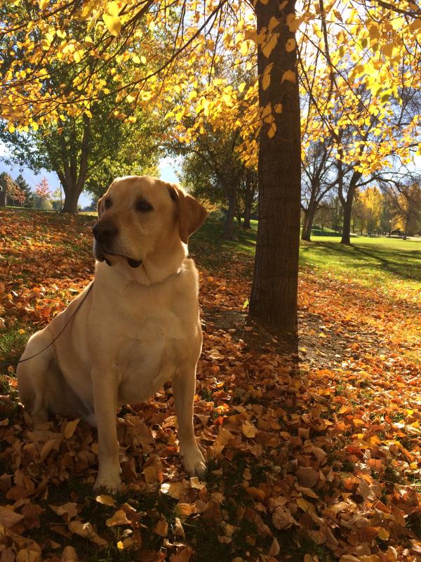 /Images/uploads/Humane Society of Utah/HSUCalendar/entries/823thumb.jpg